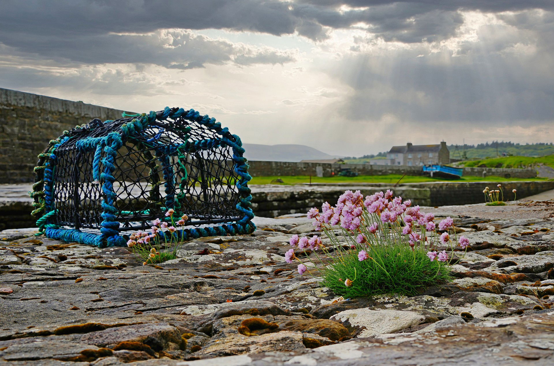 Mes clichés du moment