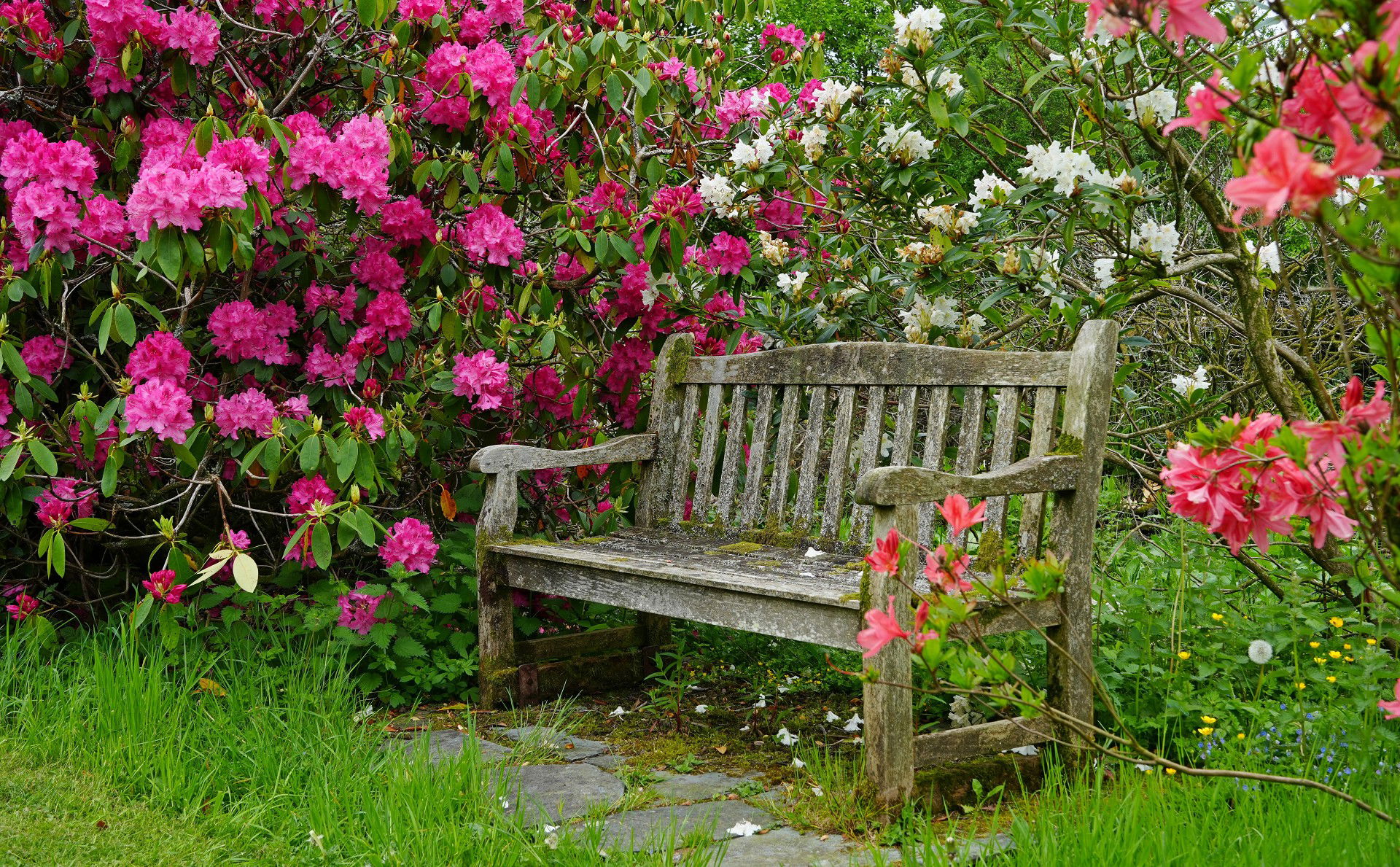 Mes clichés du moment