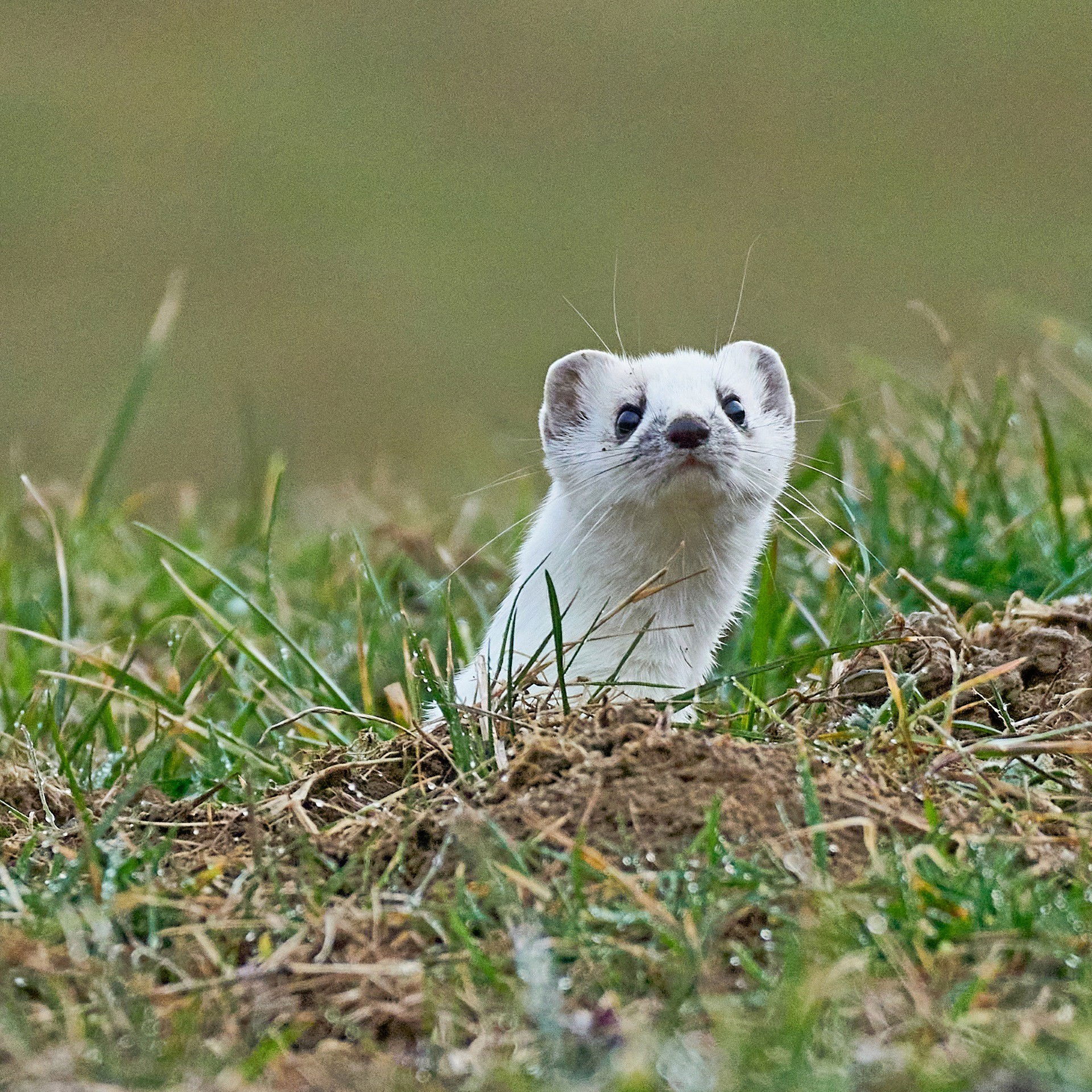 Mes clichés du moment