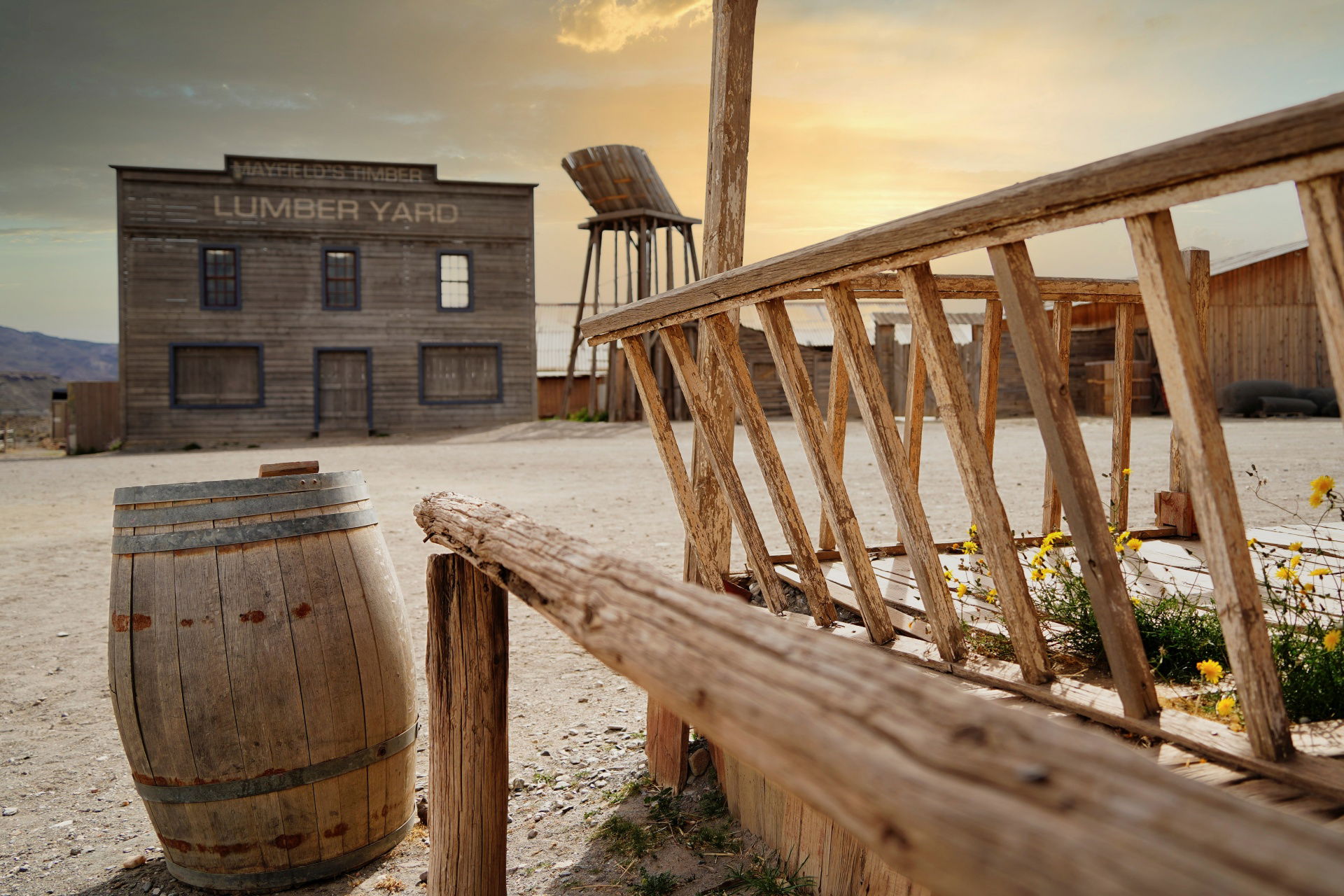 Mes clichés du moment