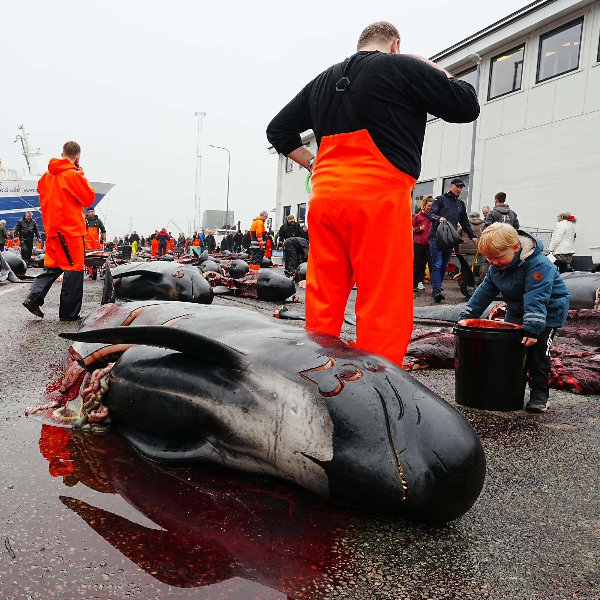 Le sang de la tradition, quand la violence devient ordinaire