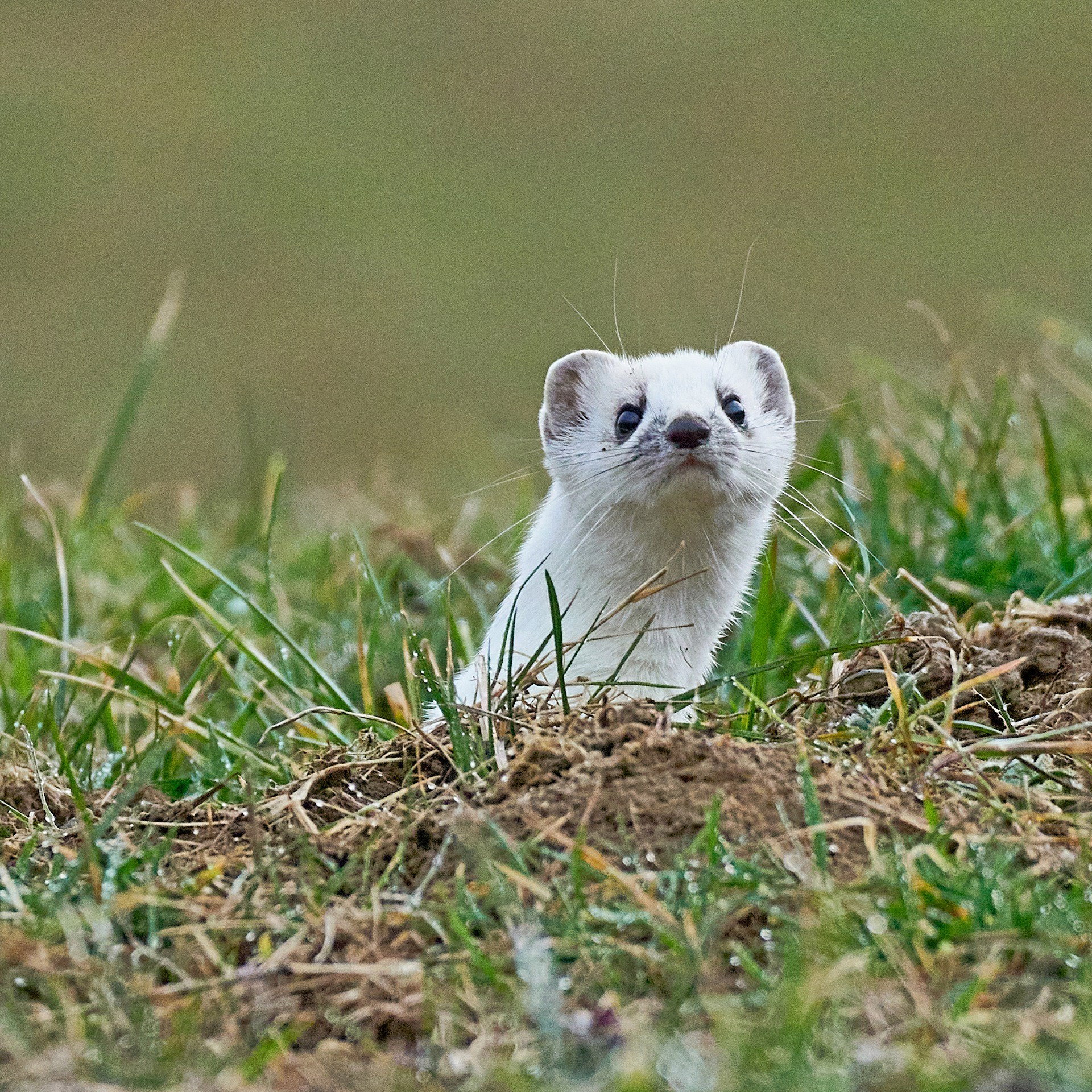 My snapshots of the moment