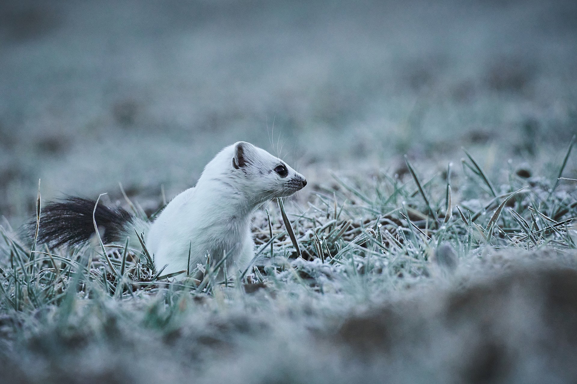 Throughout the seasons