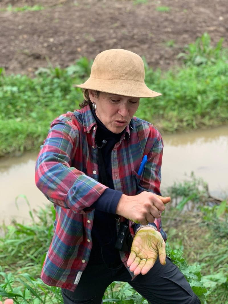 אֶרֶץ בַּר - לִיקּוּט מְקוֹמִי