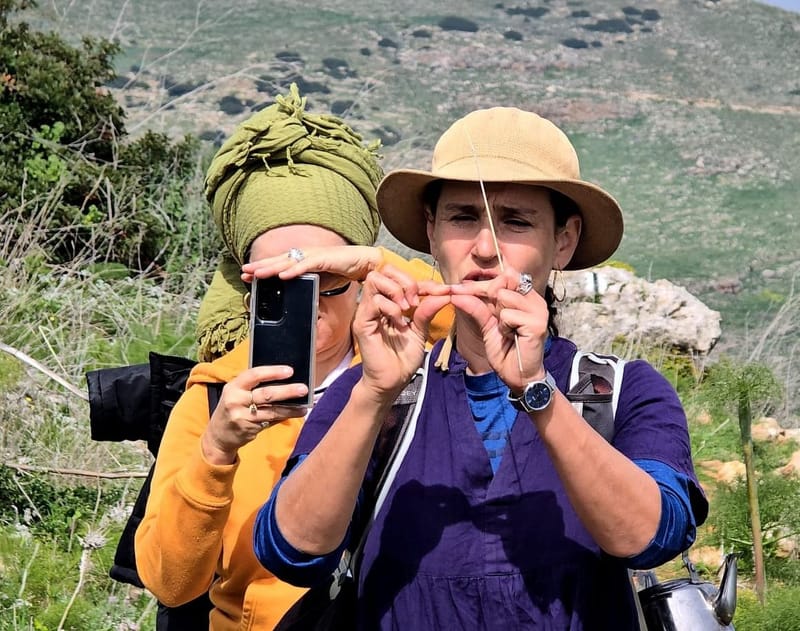 השתלמות מוכרת לחידוש רשיון למורי דרך ביער עירון