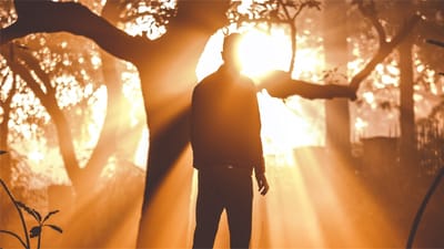 Sundays 10:30am image