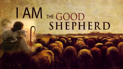 Sundays 10:30am image