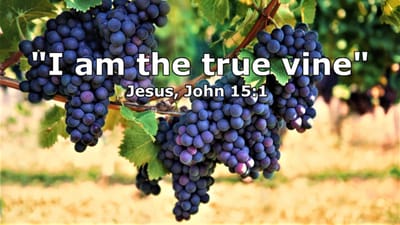 Sundays 10:30am image