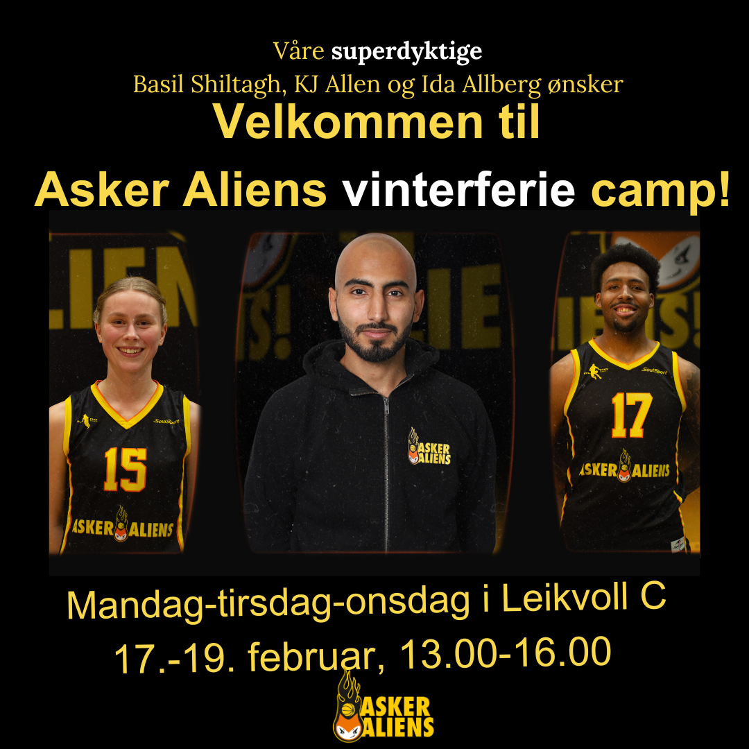 Basketcamp i vinterferien