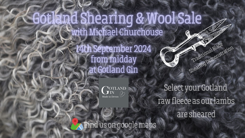 Gotland Shearing & Wool Sale