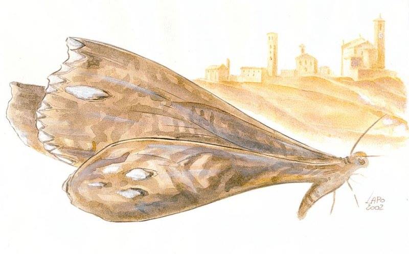 CONCORSO NAZIONALE DI POESIA E NARRATIVA GUIDO GOZZANO