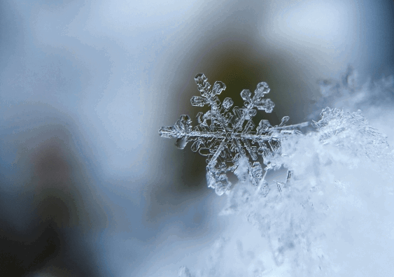 Snowflake with a self-referential fractal pattern