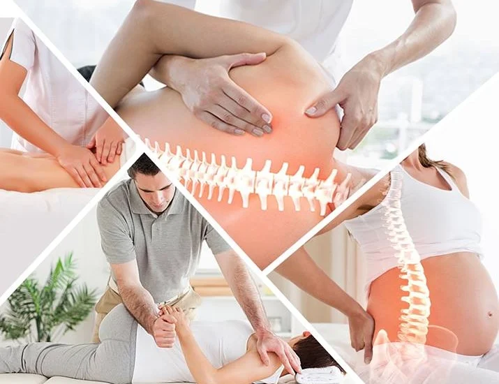 Masterclass Formação em Manipulação Vertebral e Visceral.