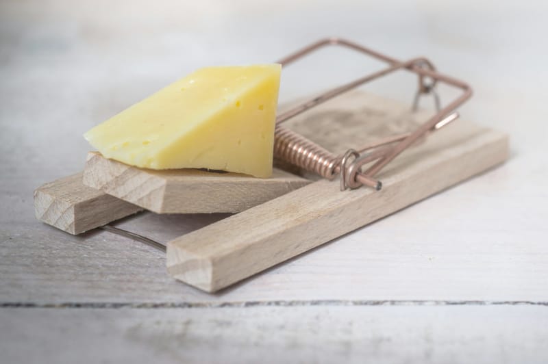 First Commandment/Statement