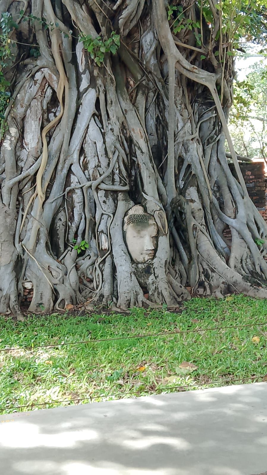 il cuore dell'Ayutthaya