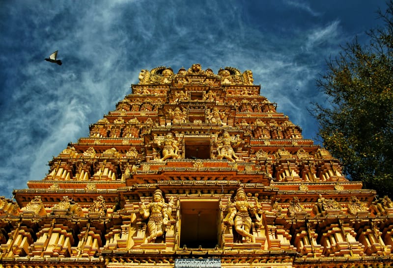 India – La quiete e il caos