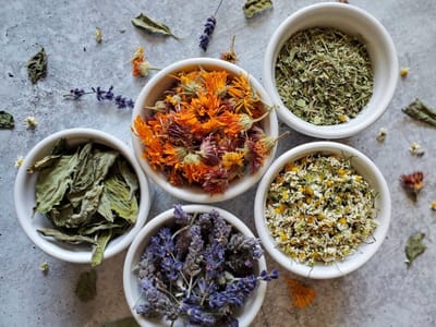 Vermifuge naturel : la cure de saison pour assainir son terrain intestinal