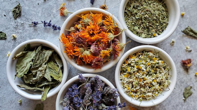 Vermifuge naturel : la cure de saison pour assainir son terrain intestinal