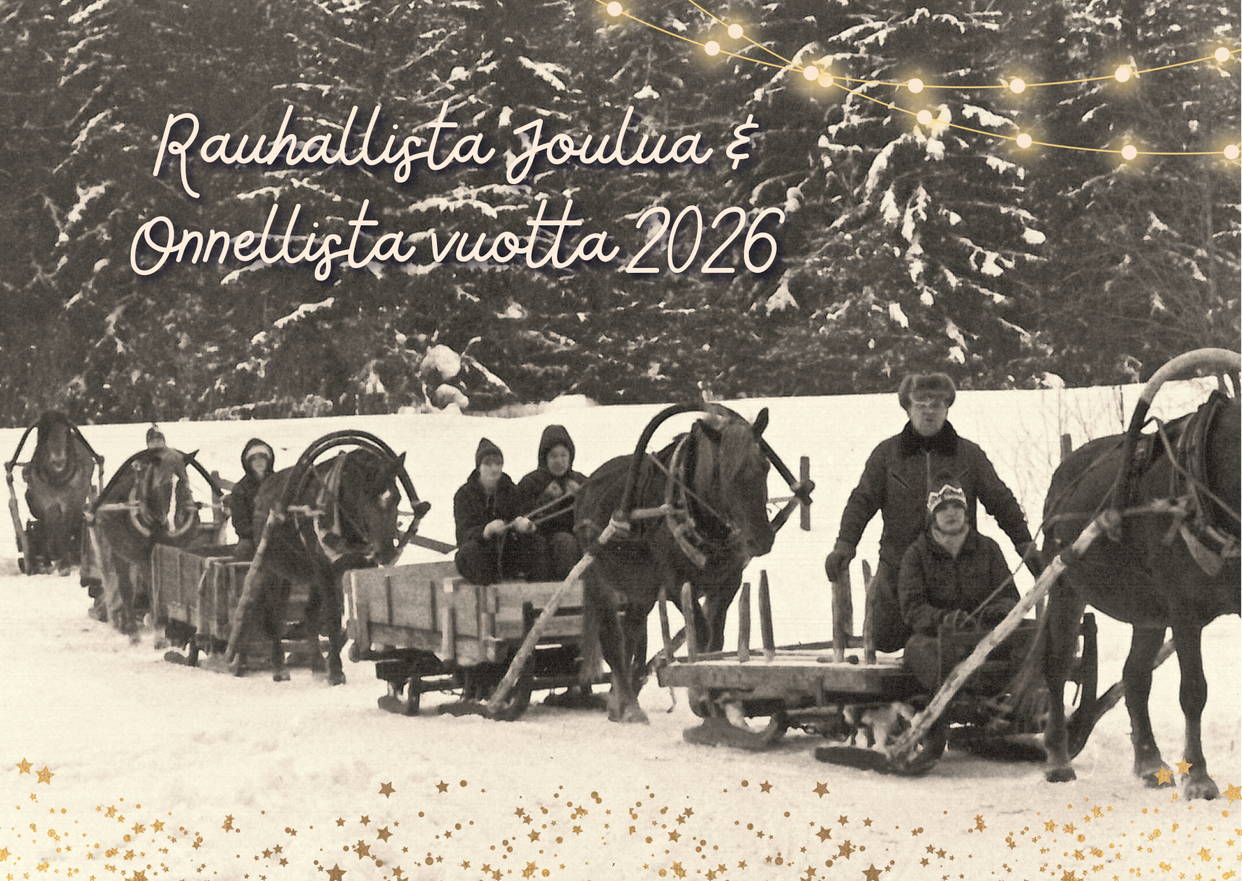 Hyvää Joulua kaikille hevosten ystäville!