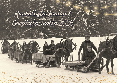 Hyvää Joulua kaikille hevosten ystäville!