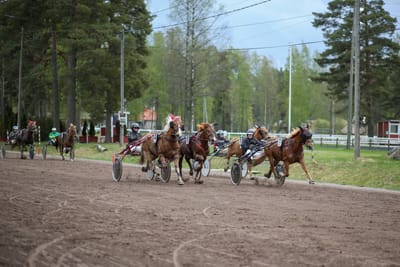 Helatorstain paikallisravit