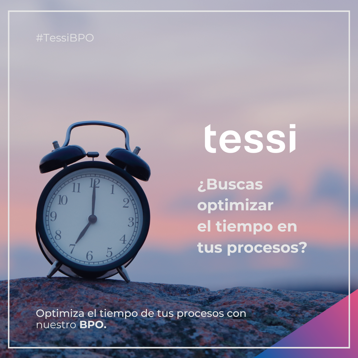 Diseños para cliente Tessi