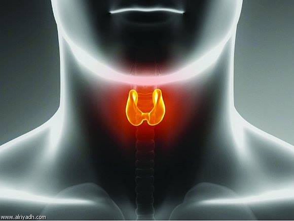 المسح_الذرى_الغدة_الدرقية