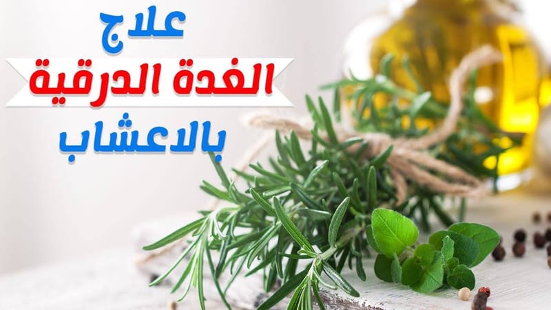 #القسط_الهندى#الغدة_الدرقية-
