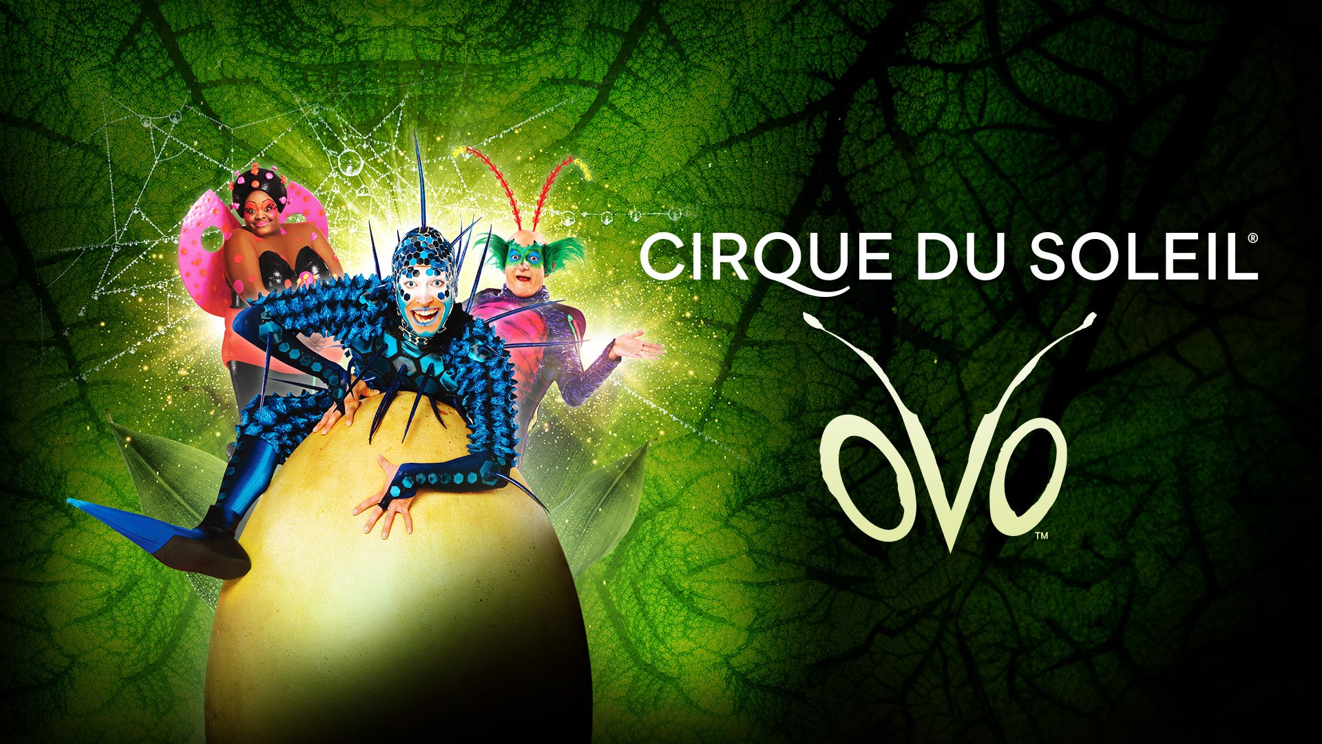 "OVO" - by Cirque Du Soleil - DCU Center Arena (Worcester, MA.)