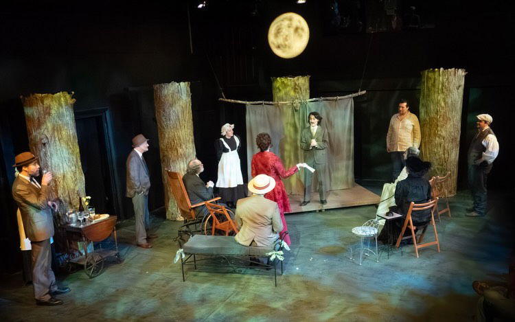 "The Seagull" - by Anton Chekhov and adapted by Tom Stoppard - Quannapowitt Players (Reading, MA.) - REVIEW