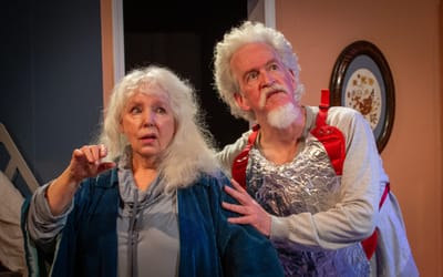 "Don Quixote de la Center" - by David Bareford - Quannapowitt Players (Reading, MA.) - REVIEW