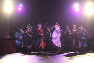 "Can-Can" - by Abe Burrows and Cole Porter - Sullivan Rep (Dedham, MA.) - REVIEW