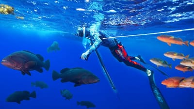 Family Spearfishing Tour Kona Hawaii – The Ultimate Ocean Adventure for All Ages