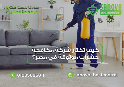 كيف تختار شركة مكافحة حشرات موثوقة في مصر؟