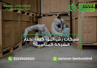 شركات رش البق: كيف تختار الشركة المناسبة؟
