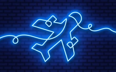 DECLARATION DES ACTIVITES BIA