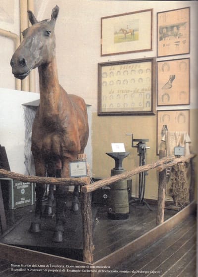 PINEROLO, UNA CITTÀ BIFRONTE