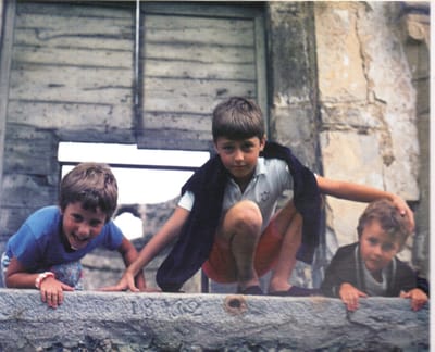 CAVALCARE LA TIGRE
MA SARÀ MANSUETA?