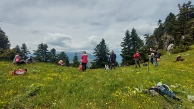 Σε ποιους απευθύνεται - Τι θα κάνουμε image