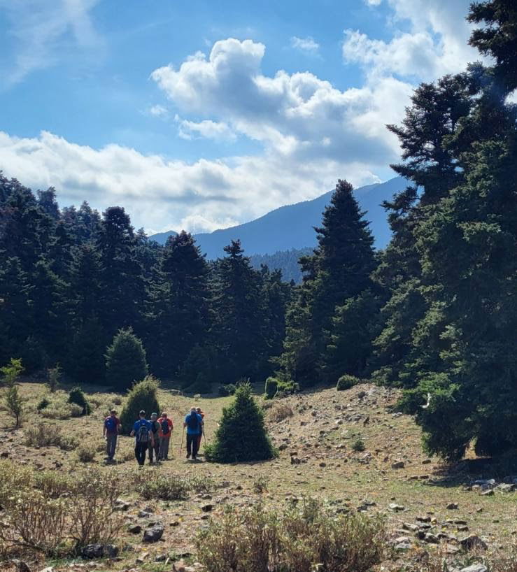 Κοπή πίτας στα Αρβανιτοχώρια!
