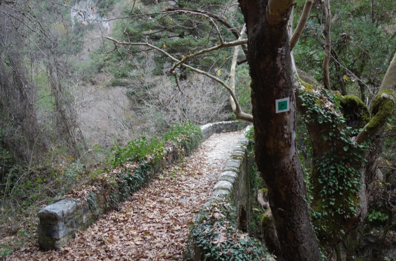 Μαίναλο: Μαγούλιανα - Νυμφασία!