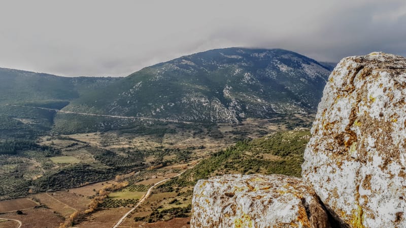 🌿 Πεζοπορία στην Κοιλάδα των Μουσών & Γιορτή της Ελιάς 🌿