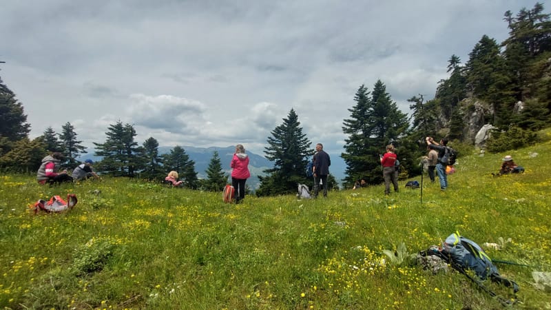 Νεραϊδοσπηλιά Παρνασσού – Εντυπωσιακή Πεζοπορία στη Φύση