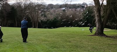 Event 113 - Winter 2024/25 - Purley Downs