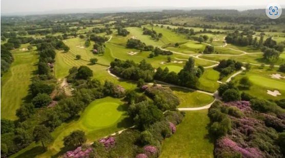 Event 115 - Summer 2025 -  Dorset