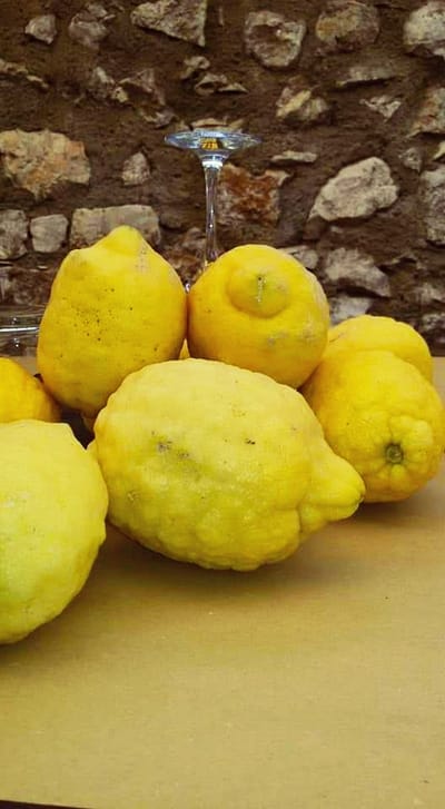 Ninfa a Primavera Maria Luisa Ghianda Bellissimo articolo su Ninfa e sul trombolotto https://www.doppiozero.com/ninfa-primavera