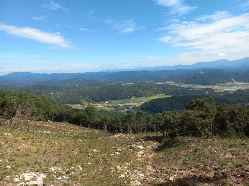 조림사업 품질평가 및 모니터링 (2024년 수행과제)