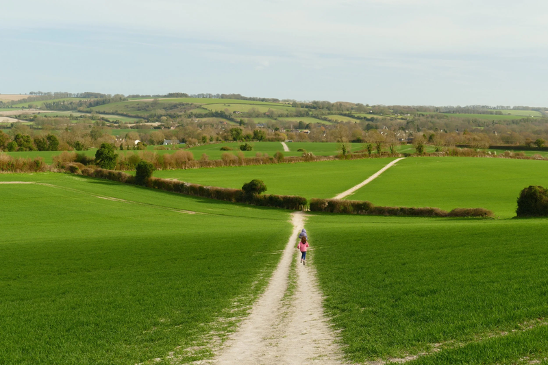South Downs Way – Exton to Cocking
