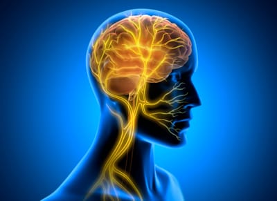 L’apnée méditative et son impact sur le système nerveux