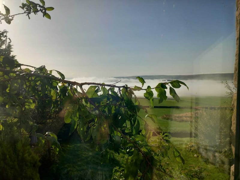 Recovering from Addiction: How Hypnotherapy and Amanda Joy's Protocol Can Help